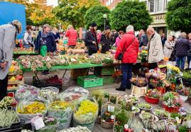 Welche Herbstmärkte finden in Kiel und Umgebung statt?