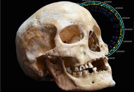 Lepra – neue Einblicke mit Hilfe der „alte DNA“-Forschung