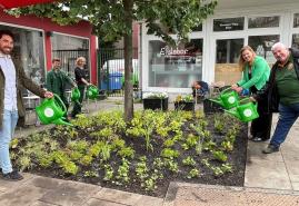 Kieler*innen werden zu Pflanzenpaten