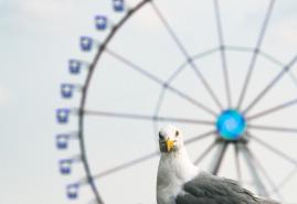 Was geht in Kiel am Wochenende?