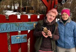Winter in Kiel: Warum Vögel jetzt gegen Scheiben fliegen