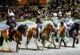 Nordpferd 2026: Top-Programmen und Show-Rabatt für Kinder