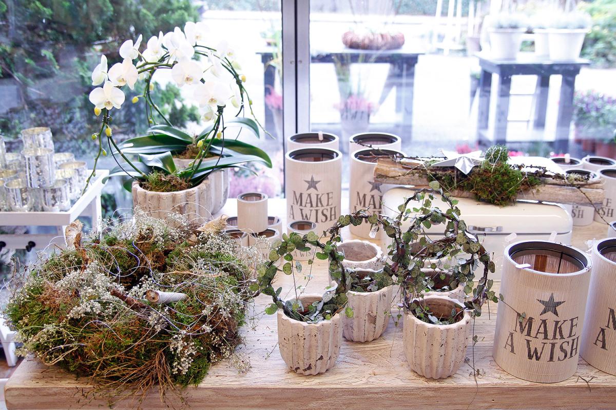 Schönes entdecken bei Blumen Pfeiffer | KIELerLEBEN ...