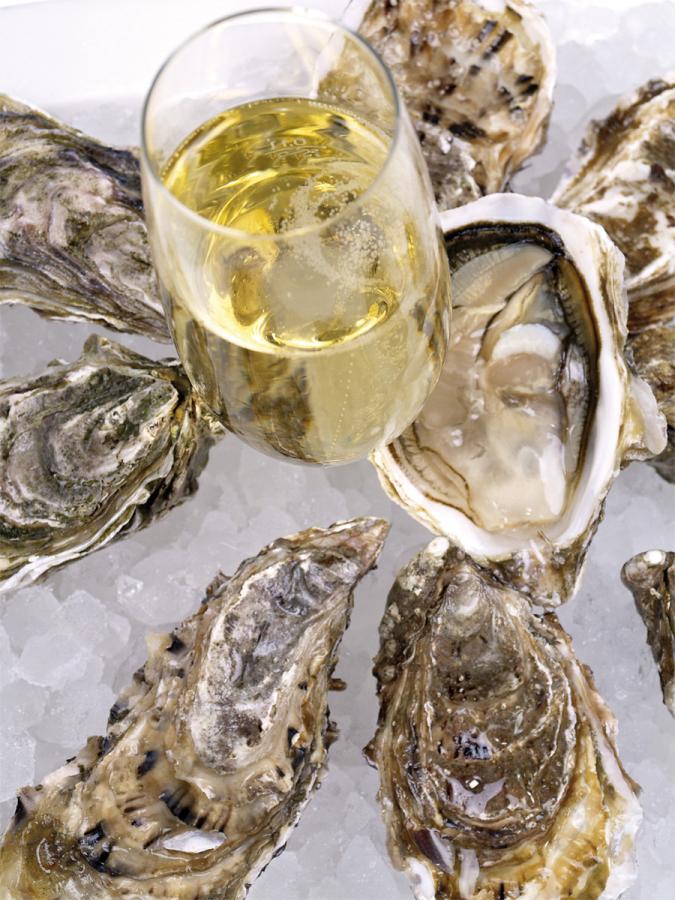 Champagner und Austern im N.i.L. barvital sorgen für Feierlaune ...