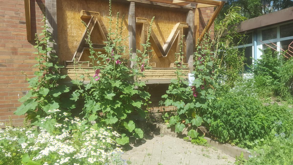 Tipps Fur Den Eigenen Garten Kielerleben