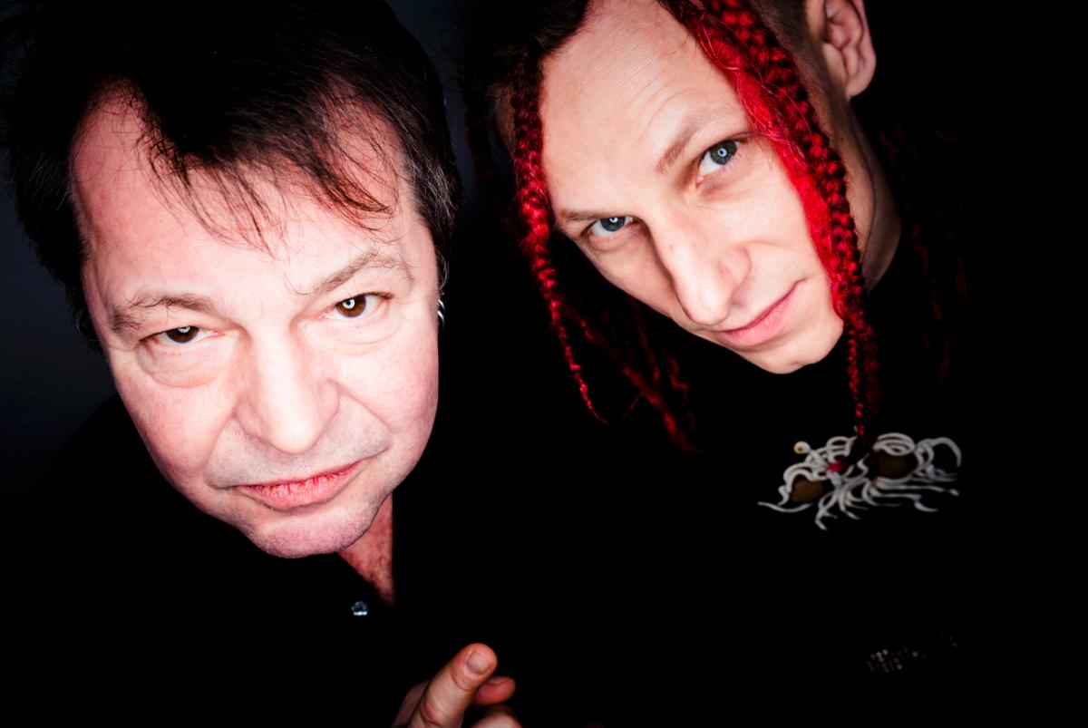 Abstürzende Brieftauben KIELerleben