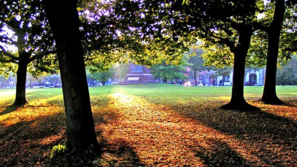 Fotowettbewerb: So schön ist Kiel im Herbst