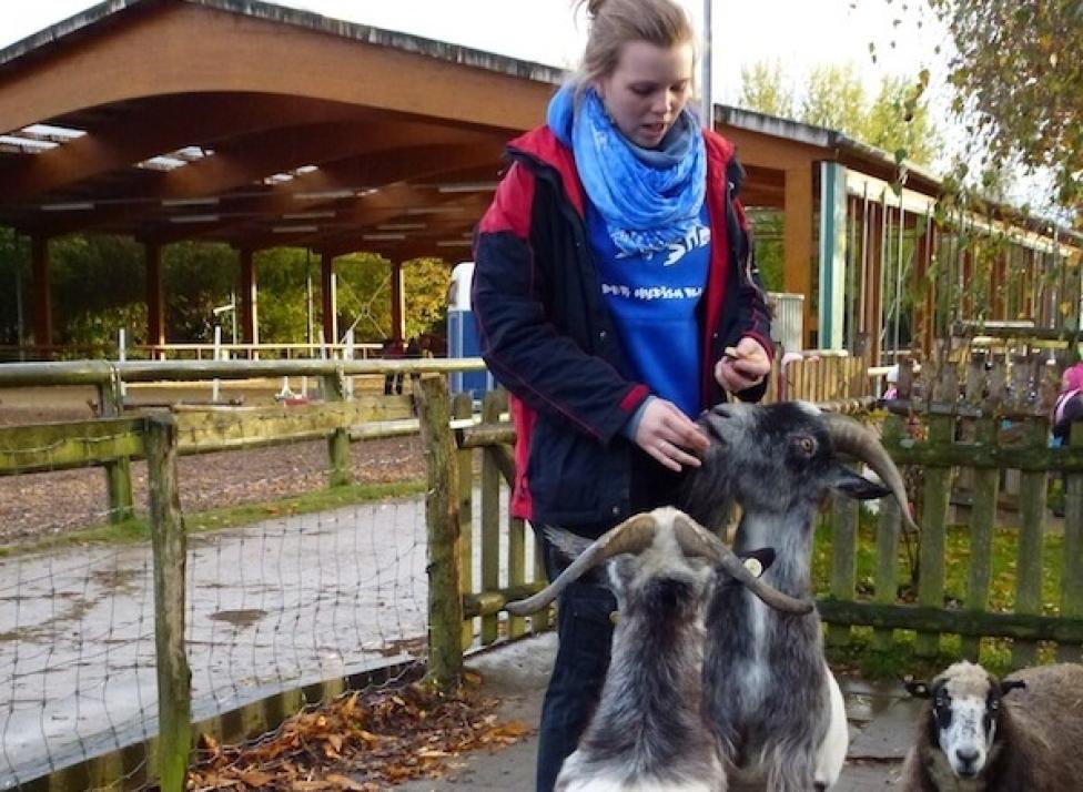 Spannend, vielfältig, engagiert