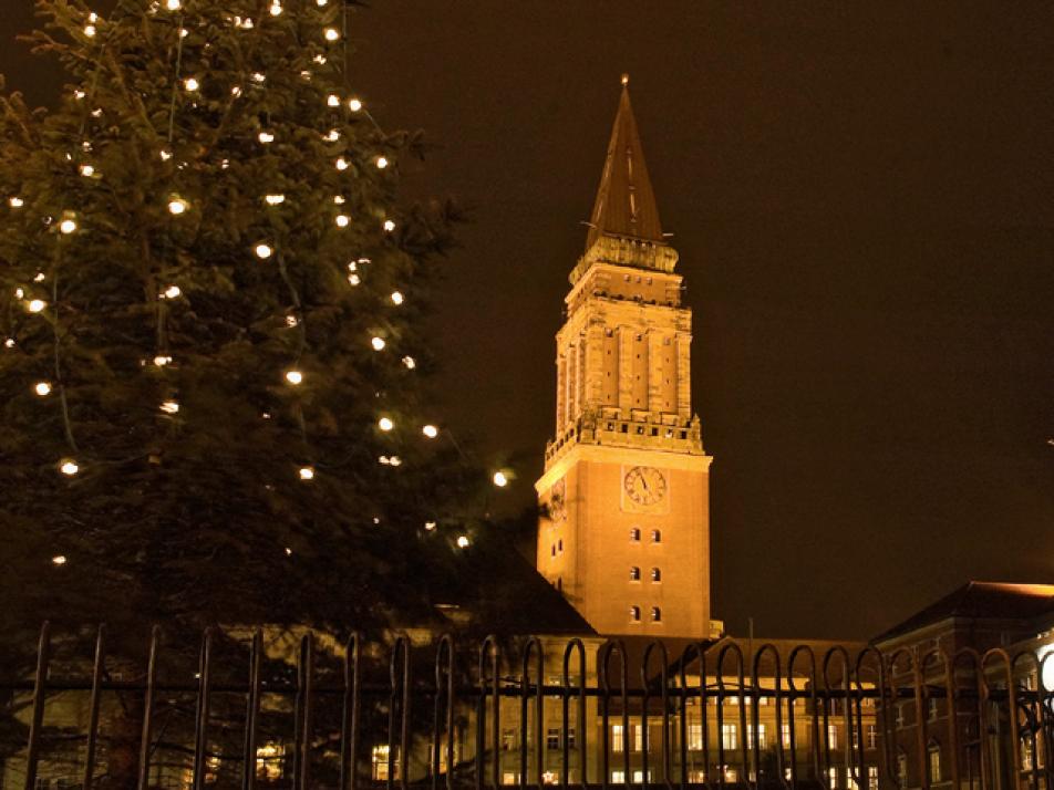 Ein kleiner Baum will hoch hinaus