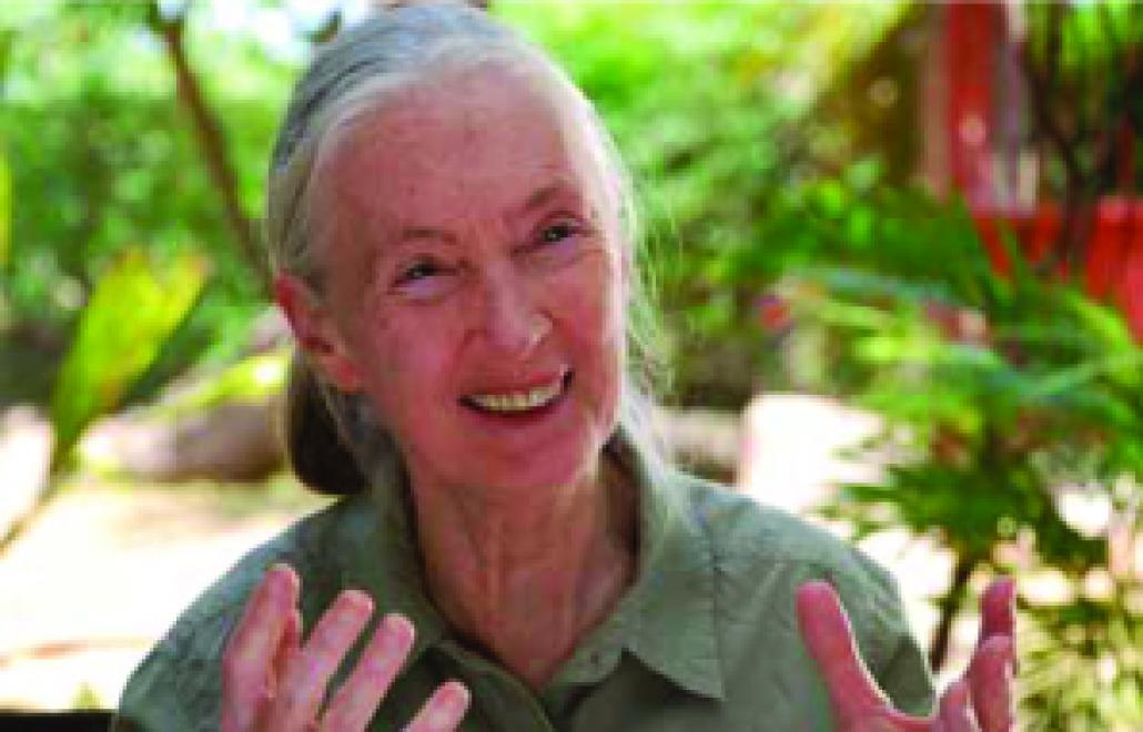 Jane Goodall zu Gast in Kiel