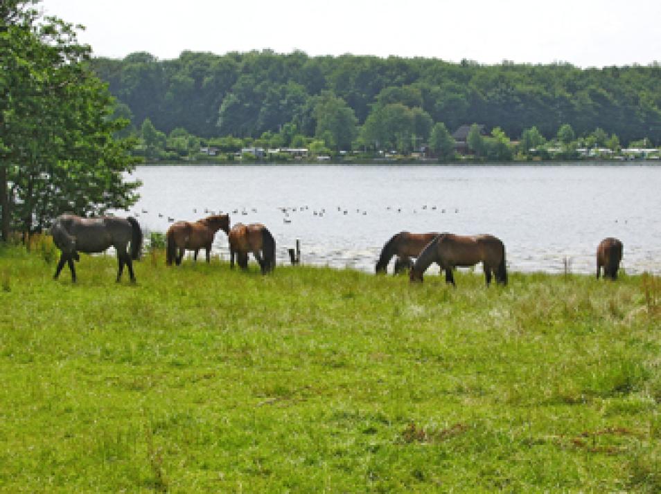 Lust aufs Land: Bistensee