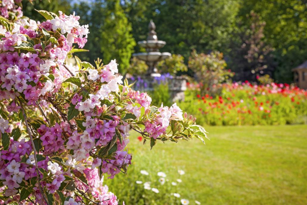 Der Garten im Frühjahr und Sommer lädt ein zum Wohlfühlen