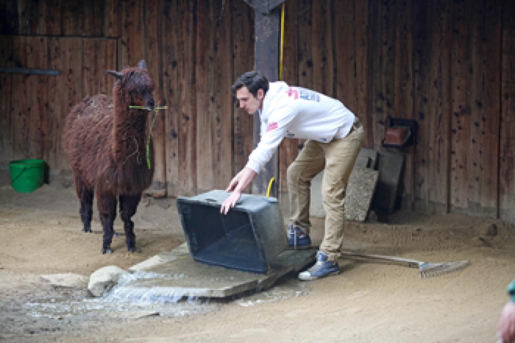 Thore tut’s … Tiere pflegen