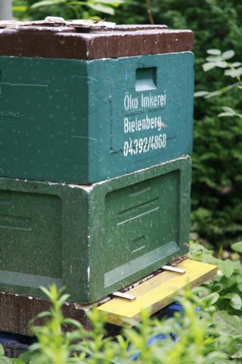 Thore tut’s … Honig machen
