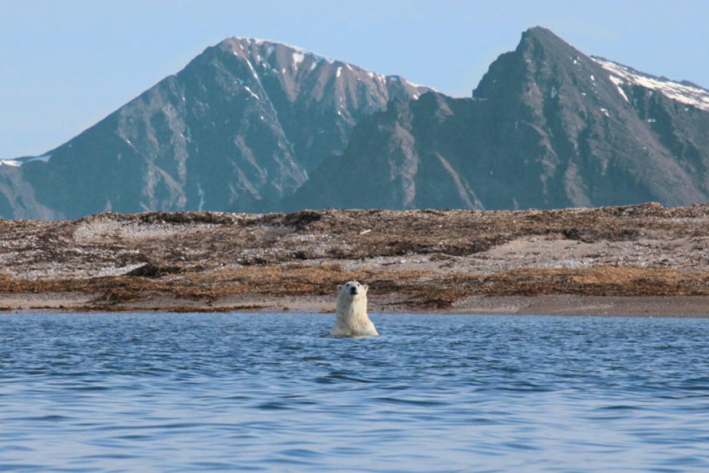Spitzbergen – Inseln im Eis! 