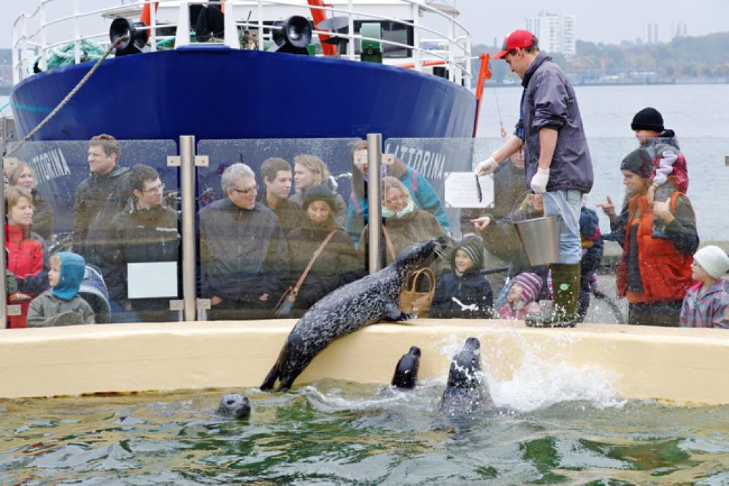 Am 20. Oktober ist museen am meer-Tag! 