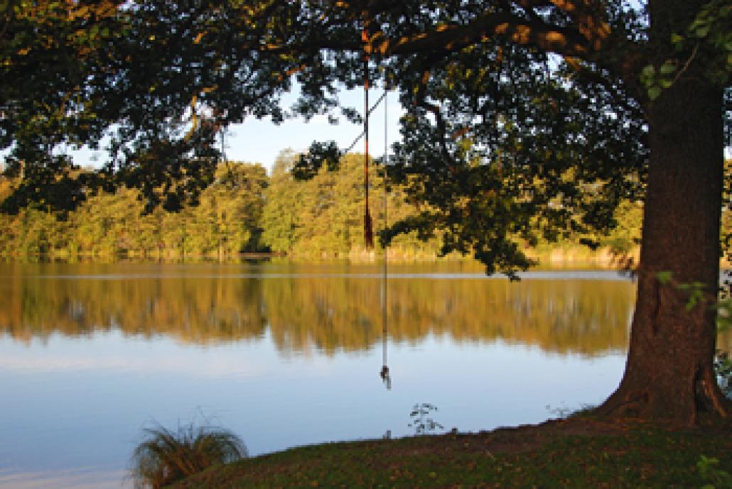 Dorfporträt Molfsee