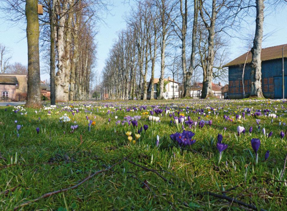 Lust aufs Land: Barsbek