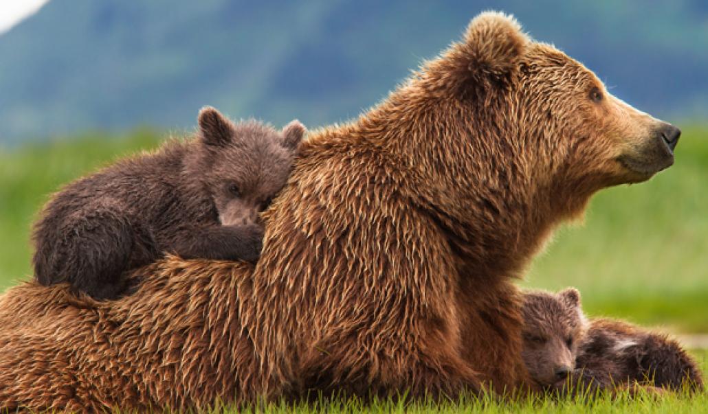 Kino-Tipps im Juni