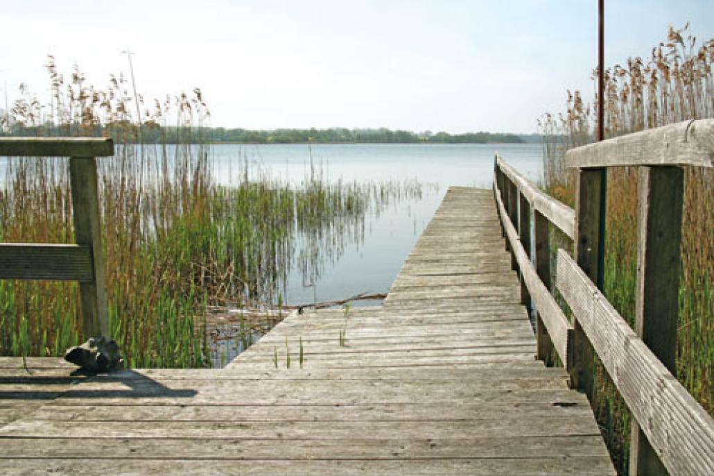 Sommerausflug in Kiels ländliche Region