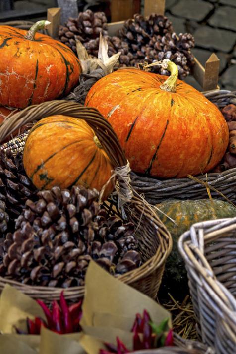 Herbstmärkte in und um Kiel