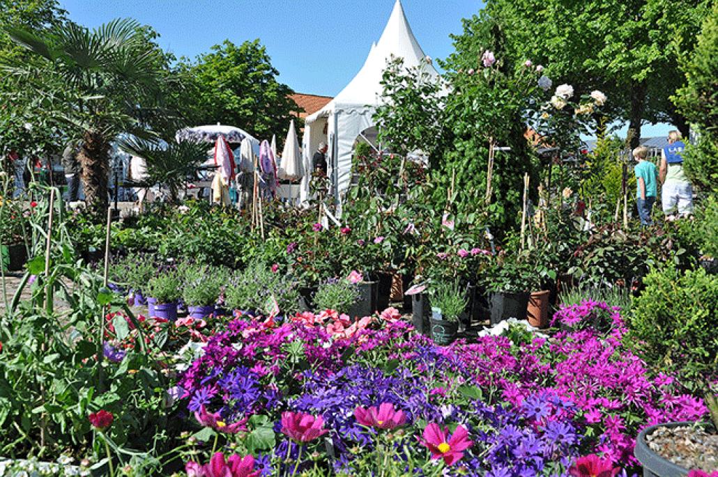 Ein buntes Rahmenprogramm erwartet die Besucher der Lifestyle-Messe Ambienta