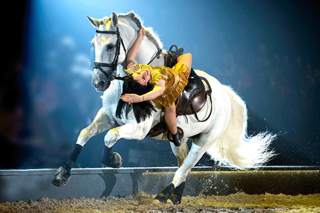 APASSIONATA in der Sparkassen-Arena