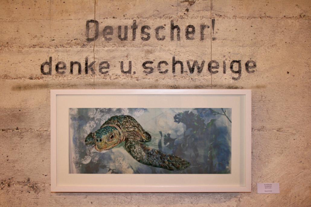 Blauschimmer: Schildkröte