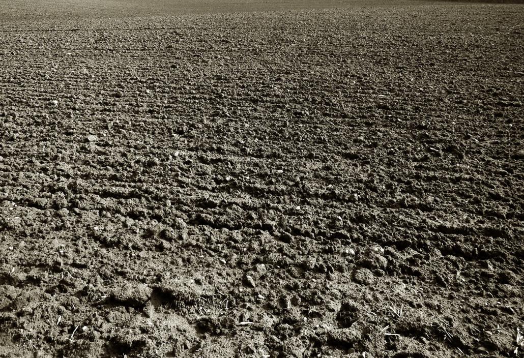 Die Bilder aus er Serie „Natur und Landschaft“ zeigen den Künstler von seiner stillen Seite