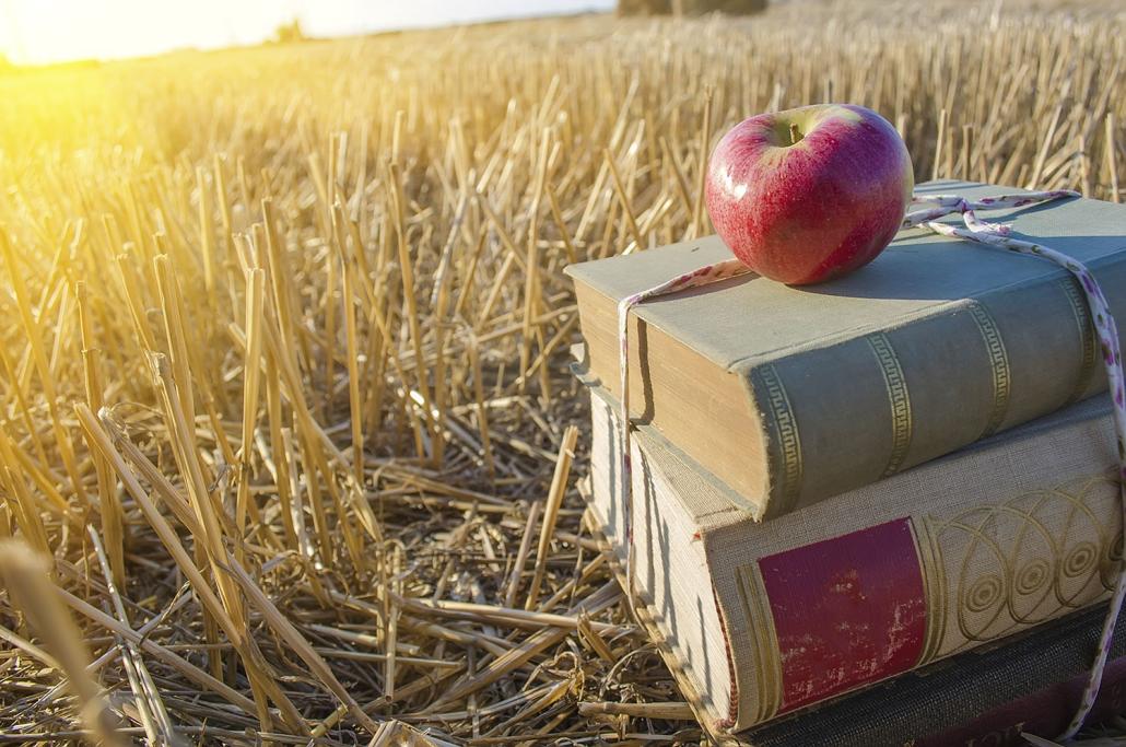Die besten Buchtipps für den August