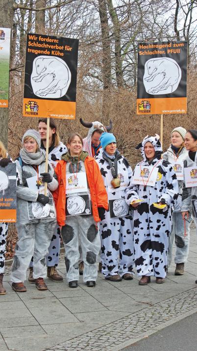 PROVIEH nahm Anfang des Jahres an der „Wir haben es satt!“-Demo in Berlin zur Förderung bäuerlicher Betriebe teil