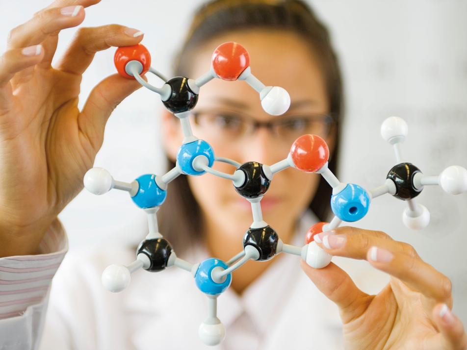 Wissenschaftler von Kieler Hochschulen geben am 6. November im Rahmen der Aktion „Spätschicht trifft Wissenschaft“ interessante Informationen  