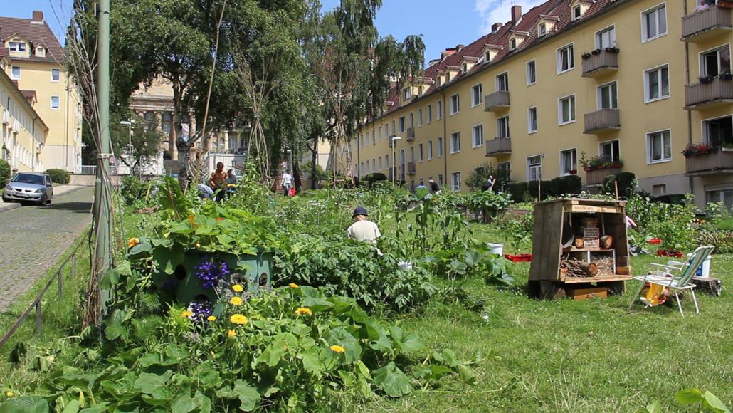 Am 10. März zeigt das Studio Filmtheater die Dokumentation „Wenn ein Garten wächst“