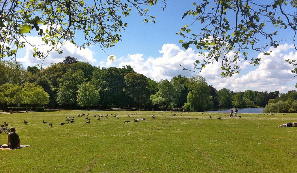 Der Schrevenpark eignet sich toll zum Grillen und Entspannen