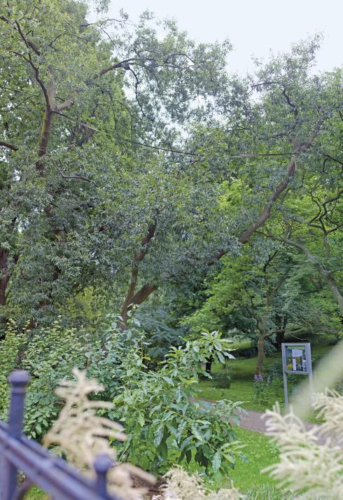 Der Alte Botanische Garten fasziniert mit märchenhaftem, fast schon verwunschenem Charakter