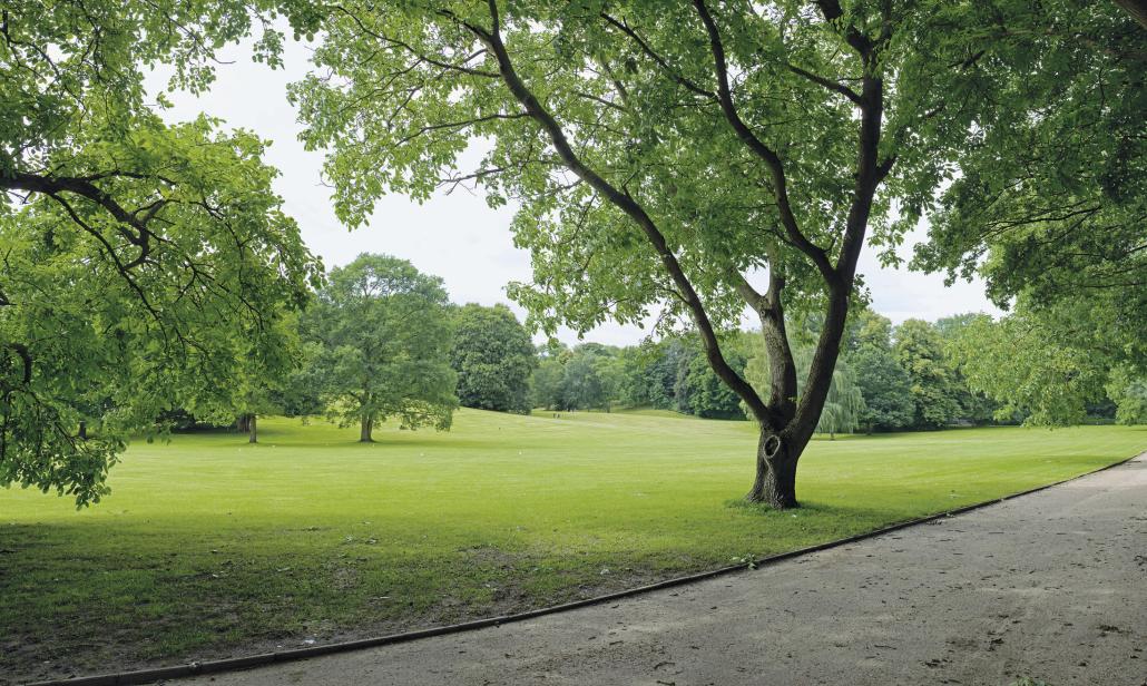 Im Volkspark tummeln sich schon lange nicht mehr nur Werftarbeiter