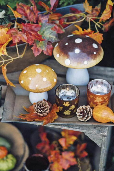 Die kleinen Pilze holen die Herbstimmung ins Haus