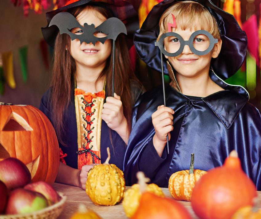 Zierkürbisse sind eine natürlich schöne Halloween-Deko