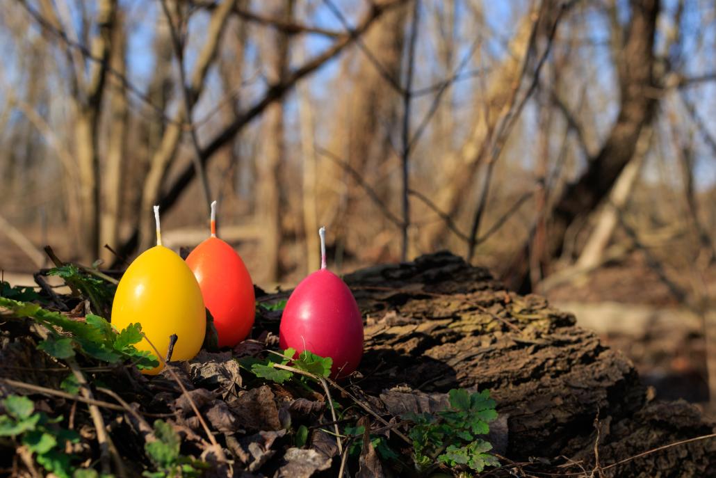 Auch dieses Jahr hat der Osterhase wieder bunte Ostereier im Hochseilgarten versteckt