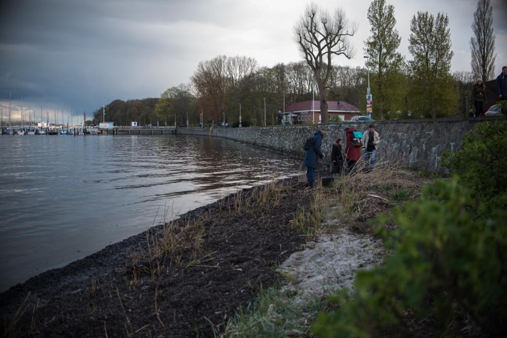 Müllsammeln für ein sauberes Kiel