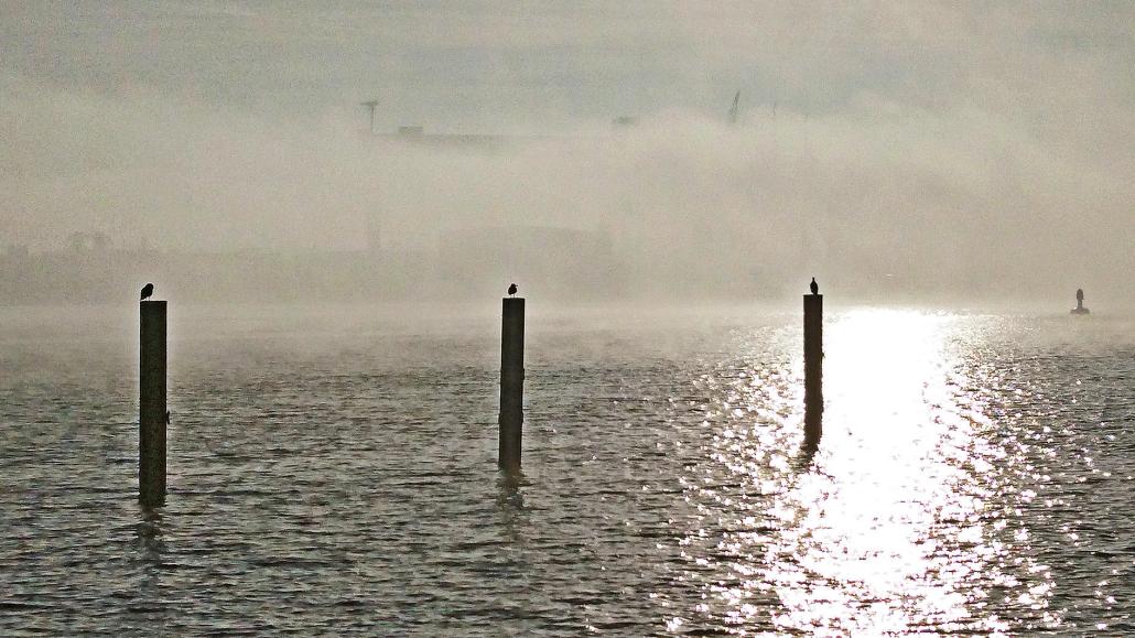 Kiel kann auch im Nebel sehr idyllisch sein