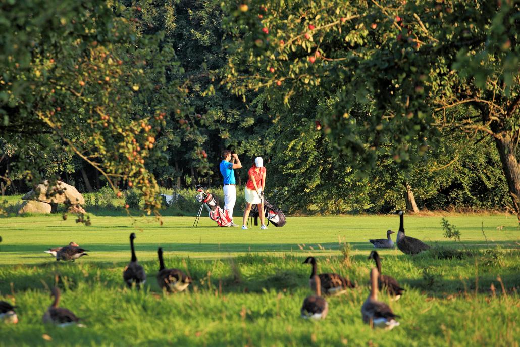 Golf kennenlernen