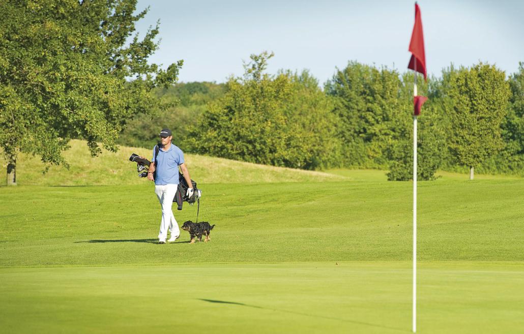 Auf Gut Uhlenhorst sind Hunde auf dem Golfplatz herzlich willkommen