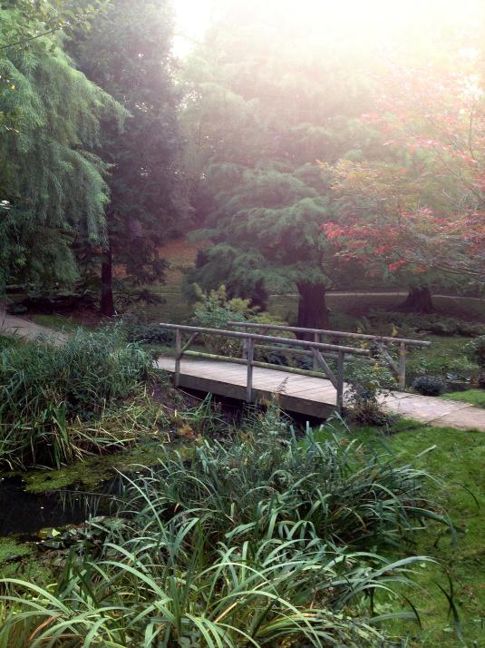 Entspannen und Träumen Sie im Alten Botanischen Garten