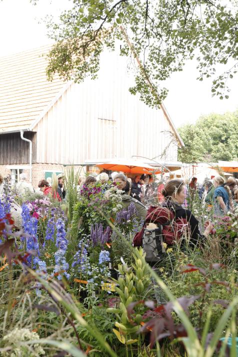 Der Hof Bissenbrook öffnet am 9. und 10. September wieder seine Tore