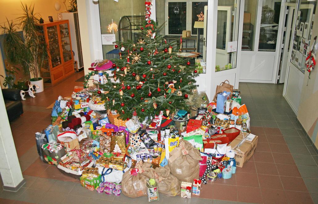 Der Weihnachtsbaum wird liebevoll geschmückt