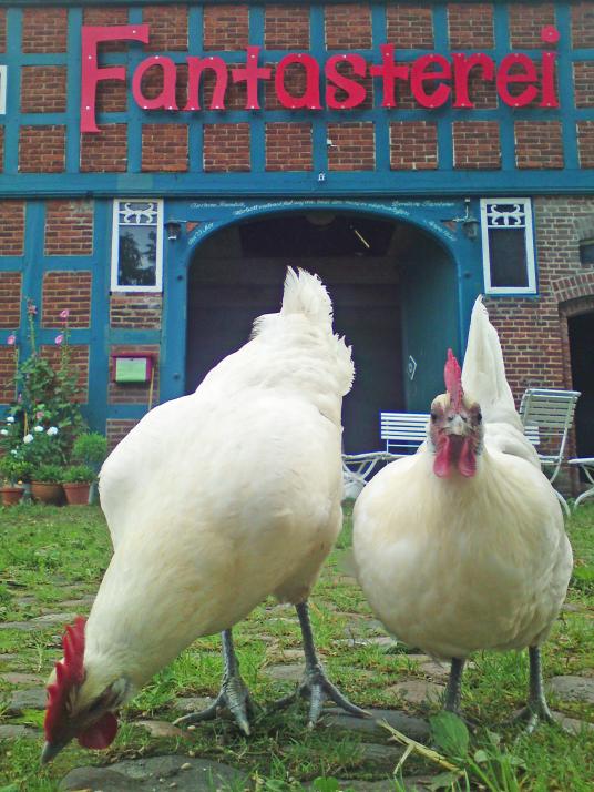 Kunterbunte Familienkiste