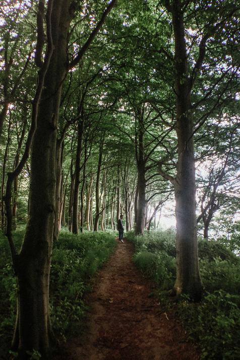 Tobias' Kiel-Moment im Wald in Schwedeneck