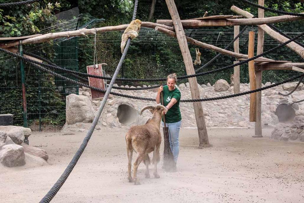 Auf Tuchfühlung mit „wilden“ Tieren