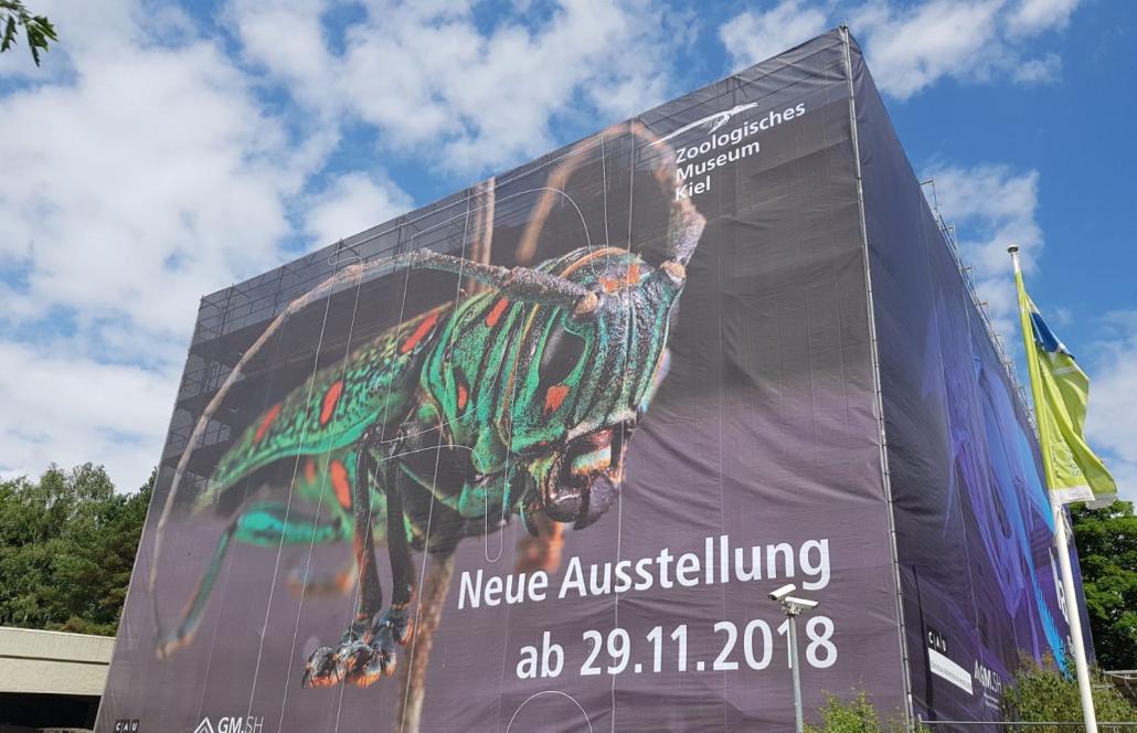 So präsentiert sich das Zoologische Museum noch bis 2019